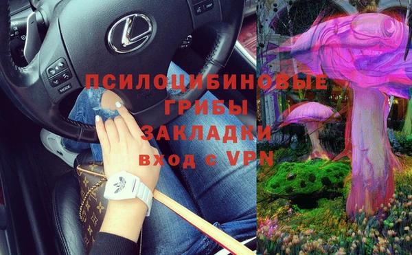 бутират Пролетарск