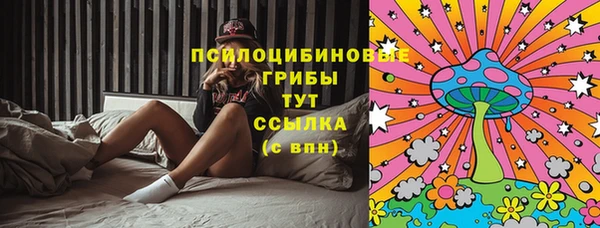 бутират Пролетарск