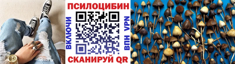дарнет шоп  Киреевск  Псилоцибиновые грибы GOLDEN TEACHER 